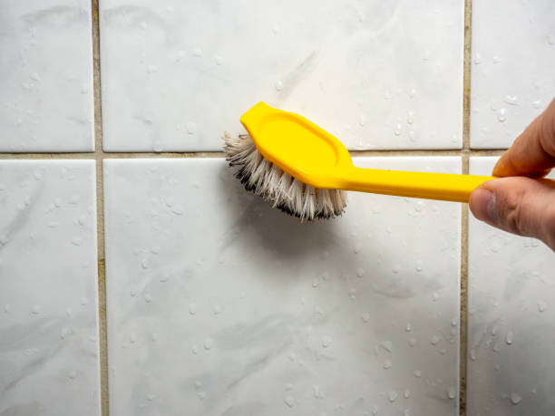 Best Local Mold Removal Service  in Lake Arbor, MD