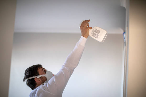 Best Residential Mold Removal  in Lake Arbor, MD